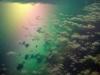 Rainbow Reflections